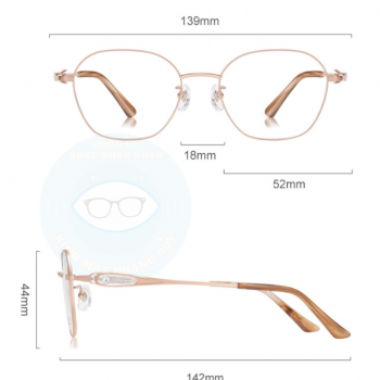 Gọng kim loại mã 6295